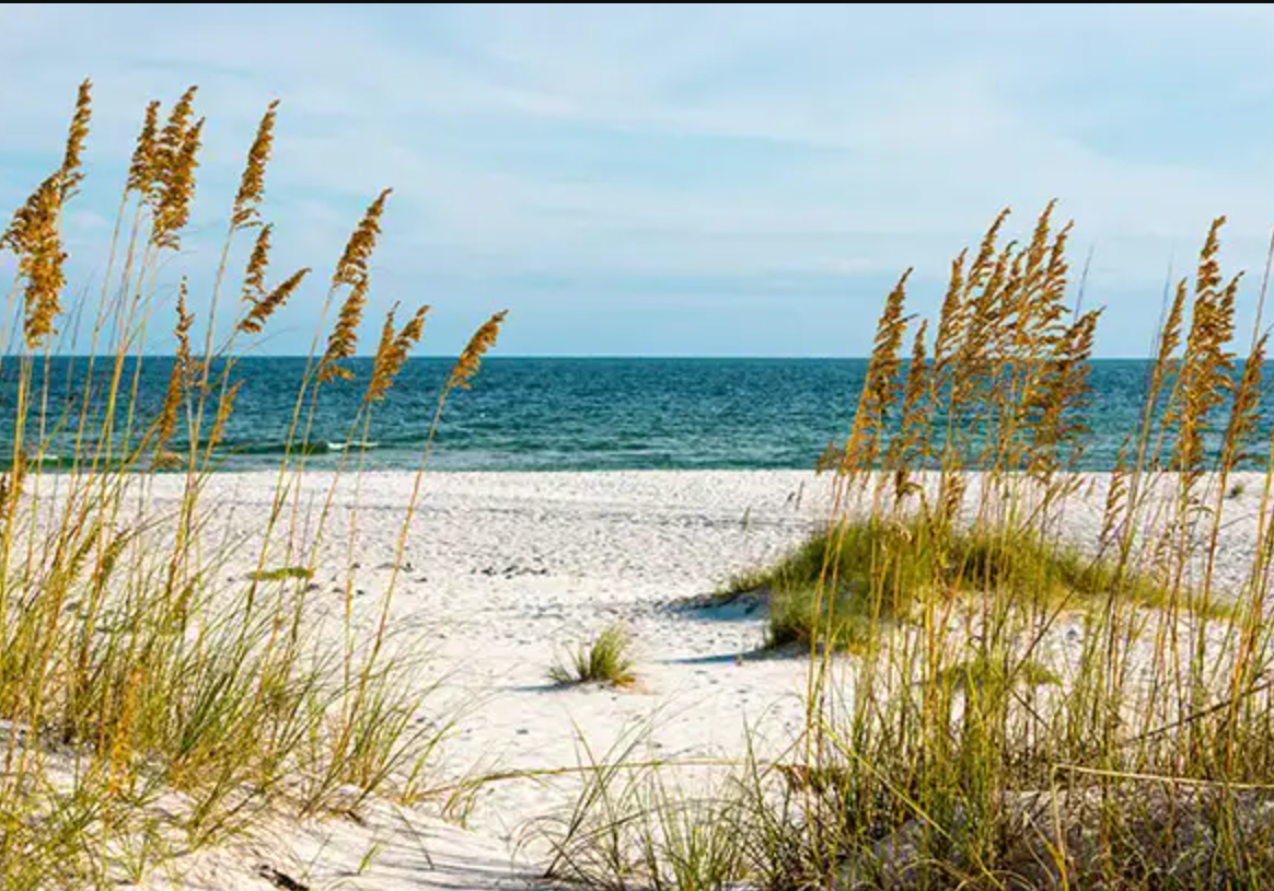 Gulf Shores
